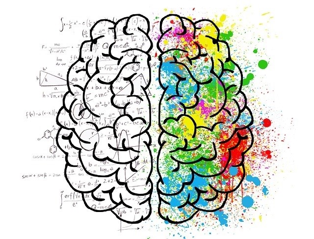Neurociencia: entender la mente para vender mas