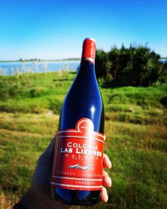 Hablamos de vinos orgánicos