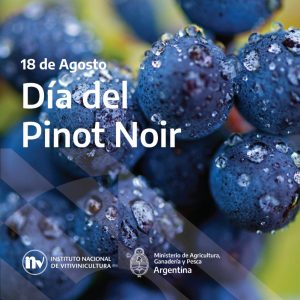 Día Mundial del Pinot Noir