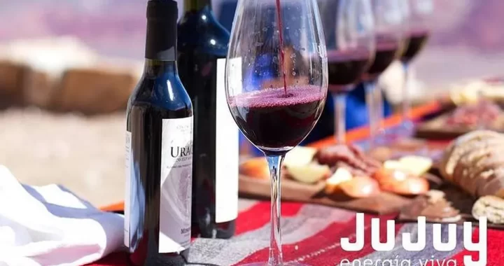 Jujuy atrae capitales a invertir en proyectos vitivinícolas