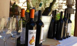 Vinos de extrema altura en Jujuy