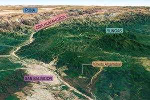 JUJUY: EL VIÑEDO DE LAS YUNGAS