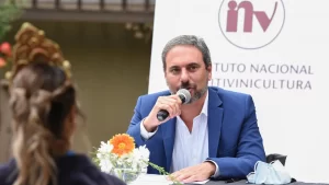 Hablar de «faltante de vinos» hace que el sector vitivinícola pierda la credibilidad