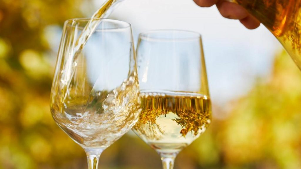 La venta de vino en Argentina creció un 5% en agosto 2022 respecto al mismo mes de 2021 impulsado por los blancos|El magazine de vinos, gastronomía y lifestyle para las mentes inquietas