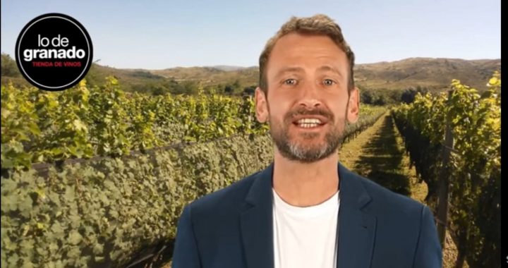 Te presentamos a Enzo, el nuevo sommelier virtual de Lo de granado