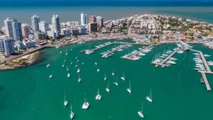 Punta del Este será sede de la 1° Cumbre Mundial de Enoturismo de la OMET