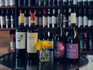 Agosto, celebrando la Diversidad Vitivinícola en Argentina, mes de la Bonarda y mes del Pinot Noir