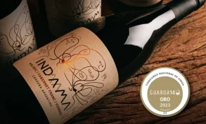 Medalla de Oro para un nuevo vino de Terra Camiare