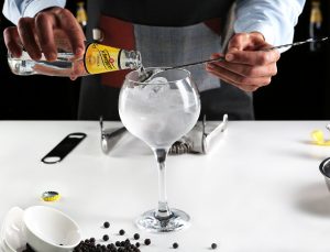 Del Gin Tonic Clásico a las Innovadoras Versiones: Un Recorrido en el Día Mundial del Gin Tonic