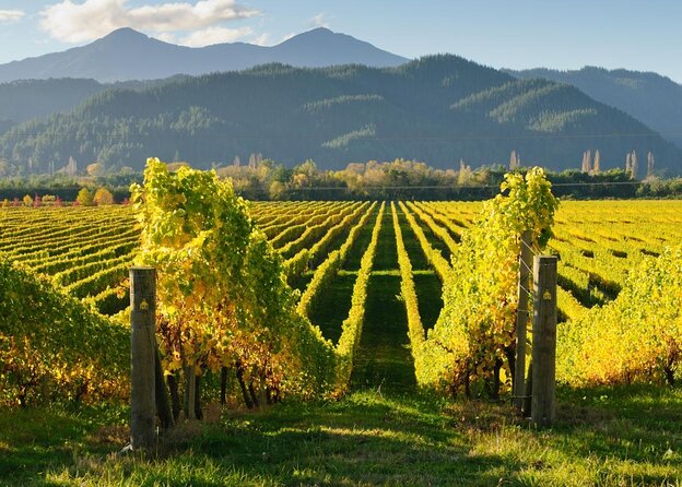Nueva Zelanda en la Meca del Vino | El magazine de vinos, gastronomía y lifestyle para las mentes inquietas