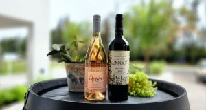 «Descubrí la Singularidad de Noviembre con Nuestros Vinos Orgánicos»