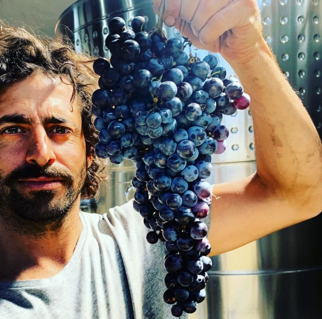 En el arranque de la vendimia Argentina se cosecharon 636 M de kg de uva, +11,4% que en 2023 | El magazine de vinos, gastronomía y lifestyle para las mentes inquietas