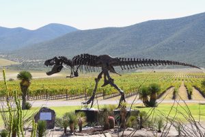 El Legado de los Dinosaurios en tu Copa de Vino