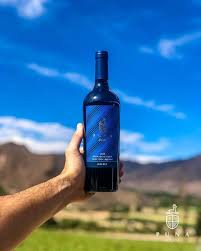 Diferencias entre los Vinos de Salta y los Vinos de la Patagonia