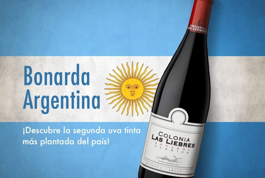 La Semana de la Bonarda en Argentina: Un Tributo al Varietal Emblemático | El magazine de vinos, gastronomía y lifestyle para las mentes inquietas