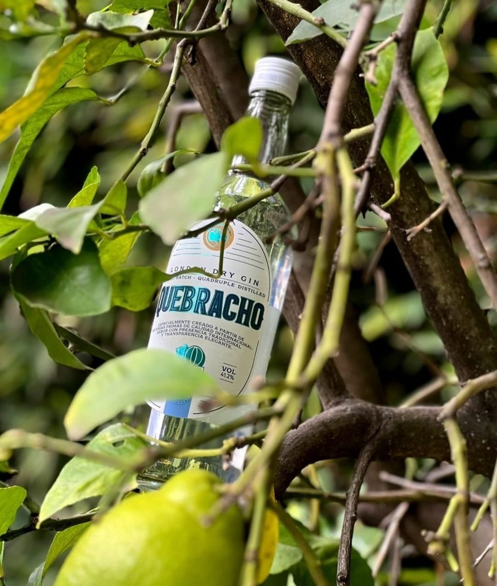 Gin Quebracho: buscando la receta perfecta, encontraron el oro | El magazine de vinos, gastronomía y lifestyle para las mentes inquietas