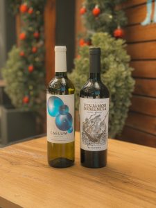 Enero en el club Fiano Terrunio 2024 & Finjamos Demencia Malbec 2024
