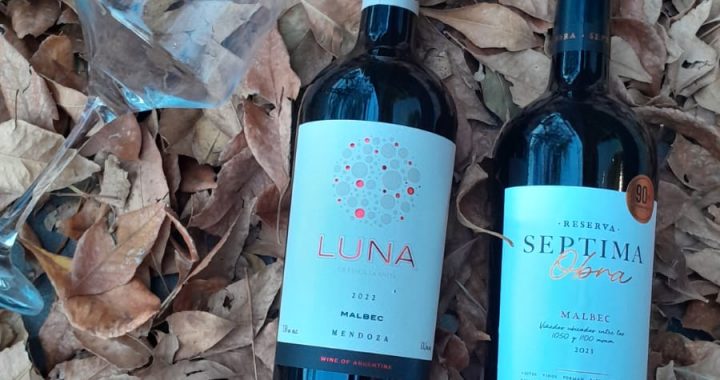 Mayo de grandes obras: Séptima Obra Reserva y Luna de Finca La Anita