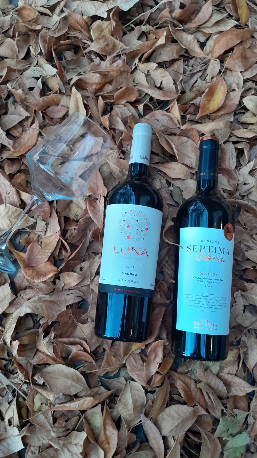 Mayo de grandes obras: Séptima Obra Reserva y Luna de Finca La Anita | El magazine de vinos, gastronomía y lifestyle para las mentes inquietas