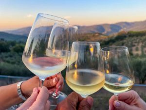 Chardonnay en números: la uva blanca que se planta, exporta y disfruta en Argentina