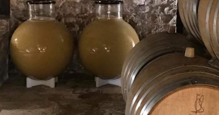Globos de vidrio: la revolución silenciosa en la vinificación premium