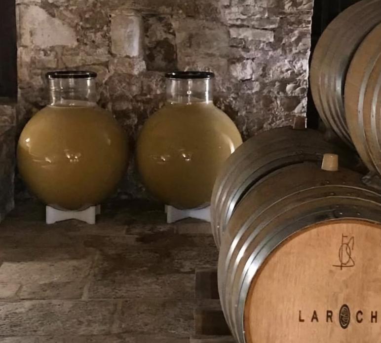 Globos de vidrio: la revolución silenciosa en la vinificación premium | El magazine de vinos, gastronomía y lifestyle para las mentes inquietas