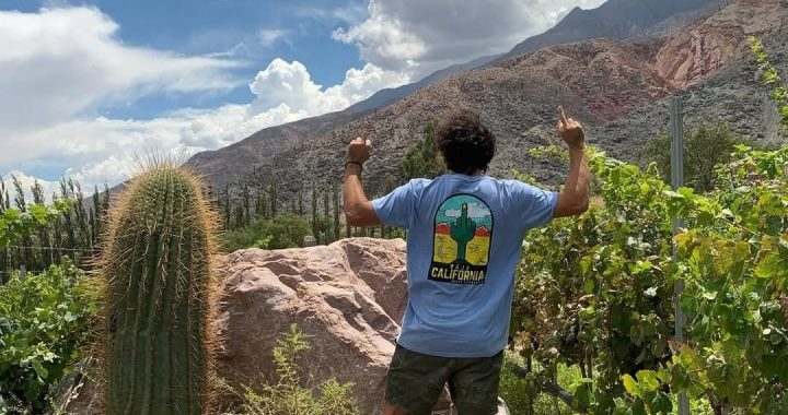 ¿Qué significa que un vino sea de mínima intervención?