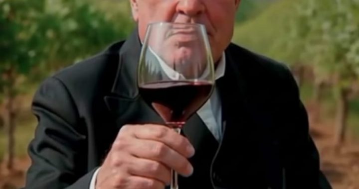 Sarmiento: del aula al Malbec, legado de un visionario