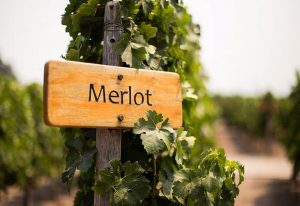 Día Internacional del Merlot: elegancia, suavidad y carácter