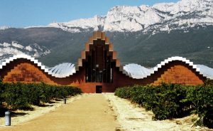 The World’s 50 Best Vineyards 2025: cuando el vino es experiencia