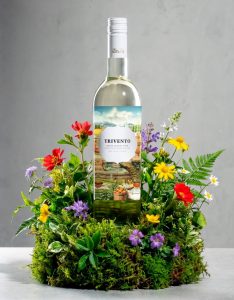 TRIVENTO PRESENTA THE WINE GIN: EL NUEVO ENCUENTRO ENTRE VINO Y BOTÁNICOS