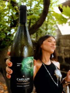 ¿Qué significa «Reserva», «Gran Reserva» y «Single Vineyard» en un vino?