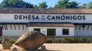 El vino español, de luto: la tragedia que conmociona a Ribera del Duero
