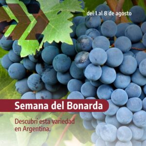 La Semana de la Bonarda en Argentina: Un Tributo al Varietal Emblemático